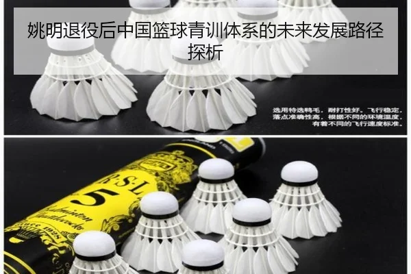 姚明退役后中国篮球青训体系的未来发展路径探析