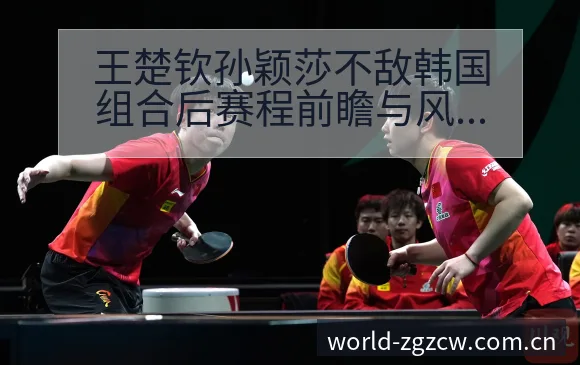 王楚钦孙颖莎不敌韩国组合后赛程前瞻与风险观察 - 中国足彩网赛事中心